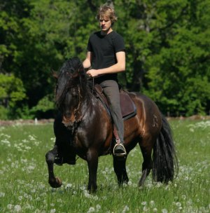 Christofer och Fardelejo på ängen.