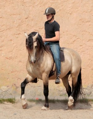 Christofer och Saxo