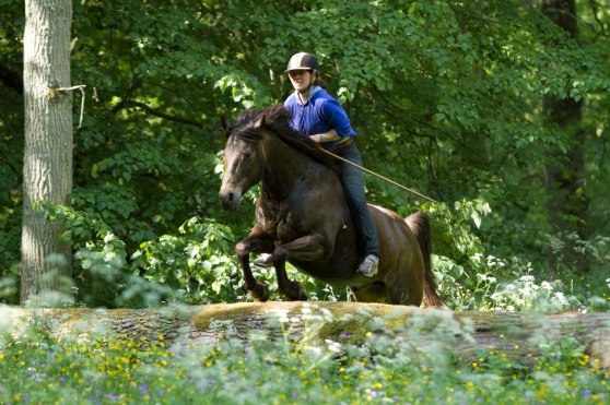 Sunny Boy och Rebecca