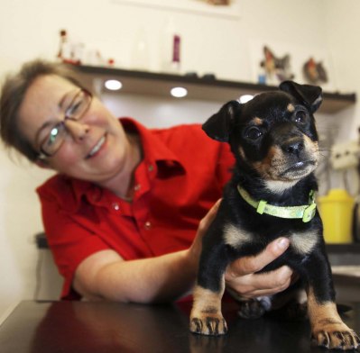Veterinären med den personliga servicen