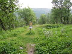 Järnåldersturen fångstgrop