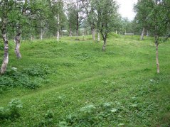 Järnåldersturen gravar