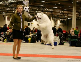 Sara och Nix laddar inför Juniorhandlingen.