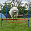 311220_10150288321235940_624670939_8258766_355506416_a