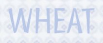 wheat Kopie 