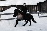 Rögg & Lina, Vinter 2010