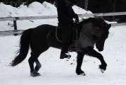 Rögg & Lina, Vinter 2010