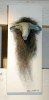 ZZ Top