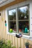 Hundar och glas 022