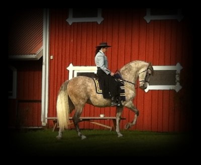 Lotta Johansson med Jugueton CXXXVII