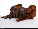 Bodilstudio2b