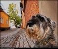 IMG_7790a