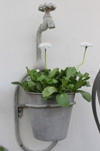 Vi har fräcka amplar med vattenkran!