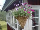 DSC00020