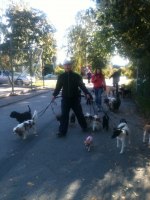 Roger på Promenad