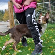 Ungdomsläger 9-13 juli