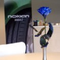 PaddockThumb01