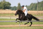 dokka_galopp
