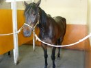 Bilder 029