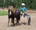 Världens finaste Diana