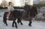 Henny & Wera och Ambra & Ebba på ridtur