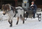 Roxette, Ludwig och Lars