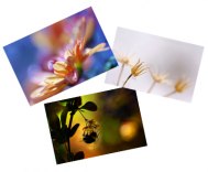 Blomklick fotokonst sortiment