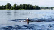 Triathlon-simmar-klaralven-2012-juli-01863