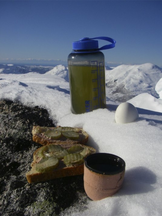 Dagens lunch - Dåligt norskt kaffe, leverpastej-mackor, ägg och apelsinsaft