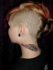 www.goldendragon.se