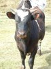 10-04-30 bilder 009