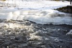 110305 Vårbilder 002