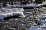110305 Vårbilder 006
