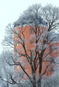 foto: Tarja Strömberg