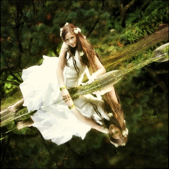 Trash The Dress