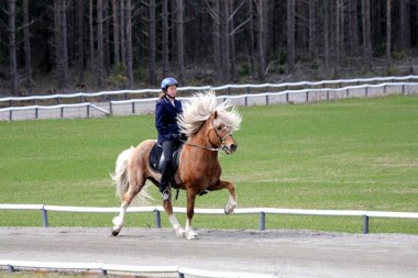 Strákur från Kaggestorp och Johanna på tävling!