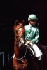 LillSham 1998 Frankfurt_Dubai International Classic