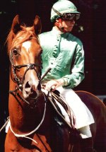 Lill Sham (SWE) f.1993 Sir: Pamir, Dam: Djamiljah