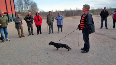 Avgående ordförande Torbjörn Norrlund på hanhundsvisningen årsmötet 2012