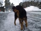 promenad2