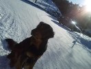 promenad4