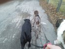 promenad10