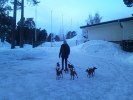 på promenad1