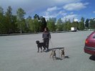 på promenad5
