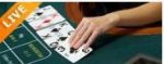 live casino