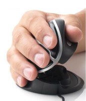 Oyster Mouse