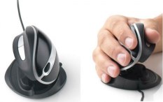 Oyster Mouse