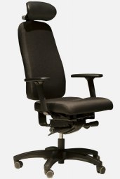Ergositter X2 Backhang