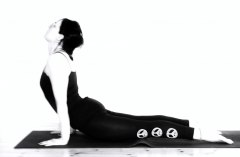 Urdhva Mukha Svanasana
