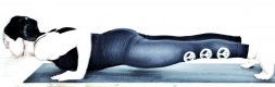 Chaturanga Dandasana Foto Ellen Danskog